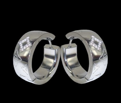 Titanium Earring
